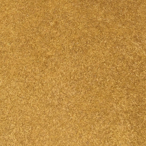 Victoria du Monde Versailles II 1125