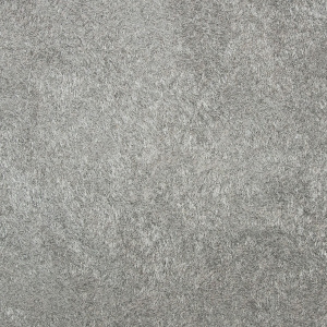 Victoria du Monde Versailles II 1107