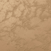 Жидкие обои Silk Plaster ASTI 02-1007 