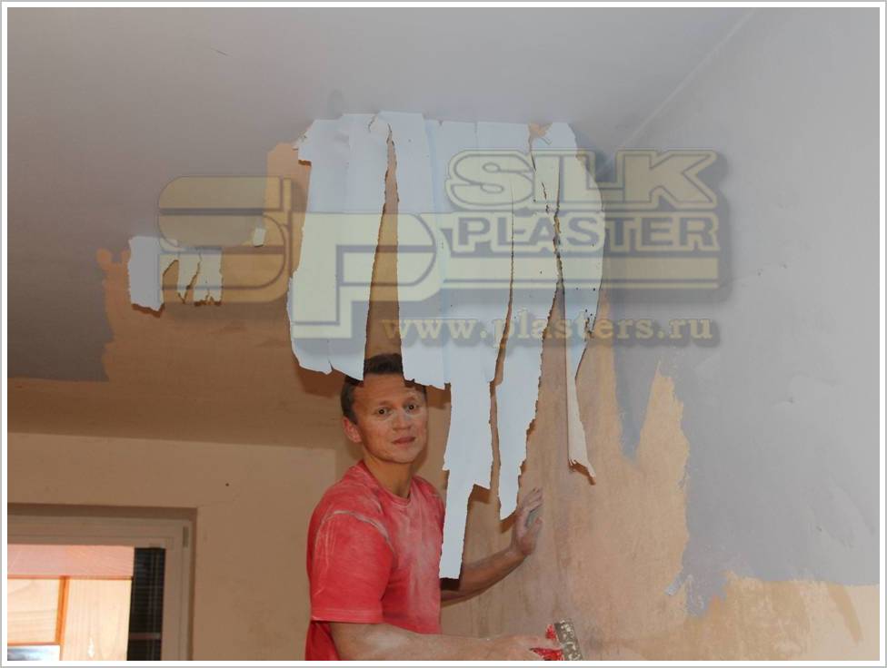 Жидкие обои SILK PLASTER Акция Анастасия Вагенкнехтова