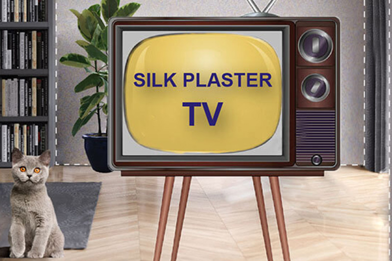 ТВ-программы с участием SILK PLASTER